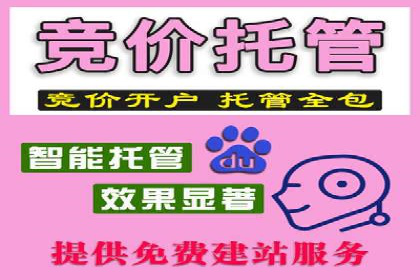 百度推广平台广告投放效果评估案例